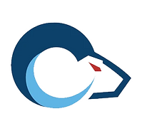 DePaul Prep High School Football